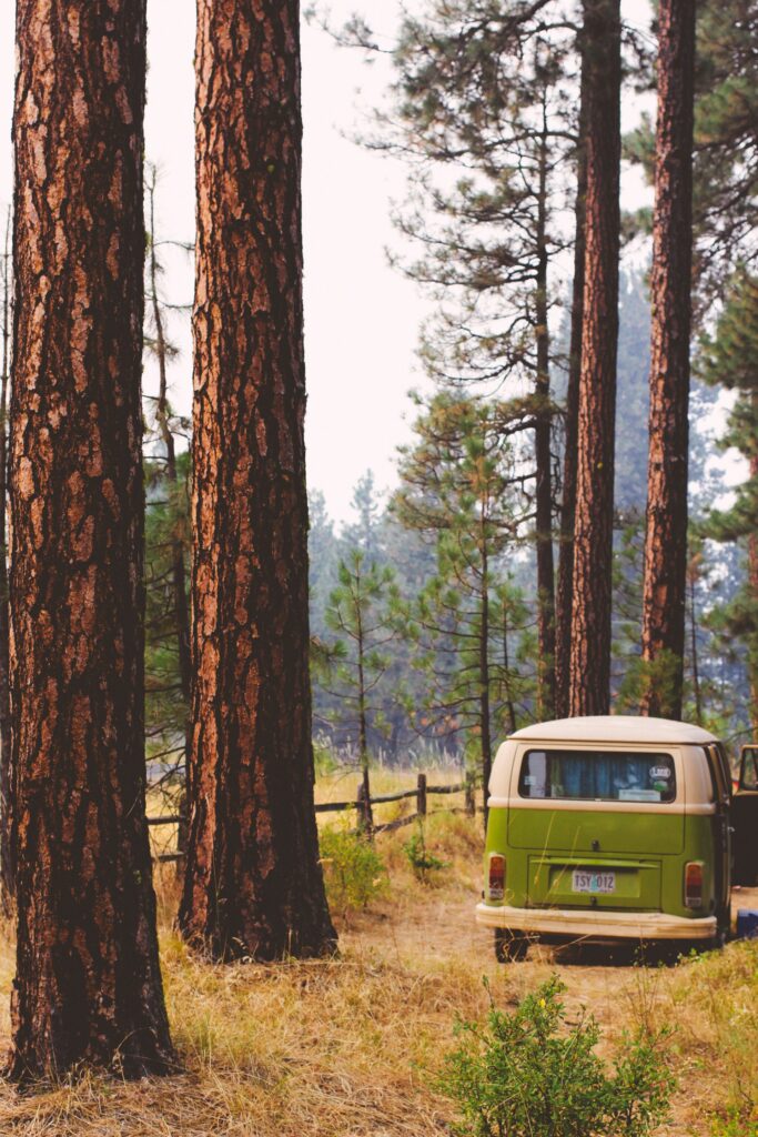 travel with RV