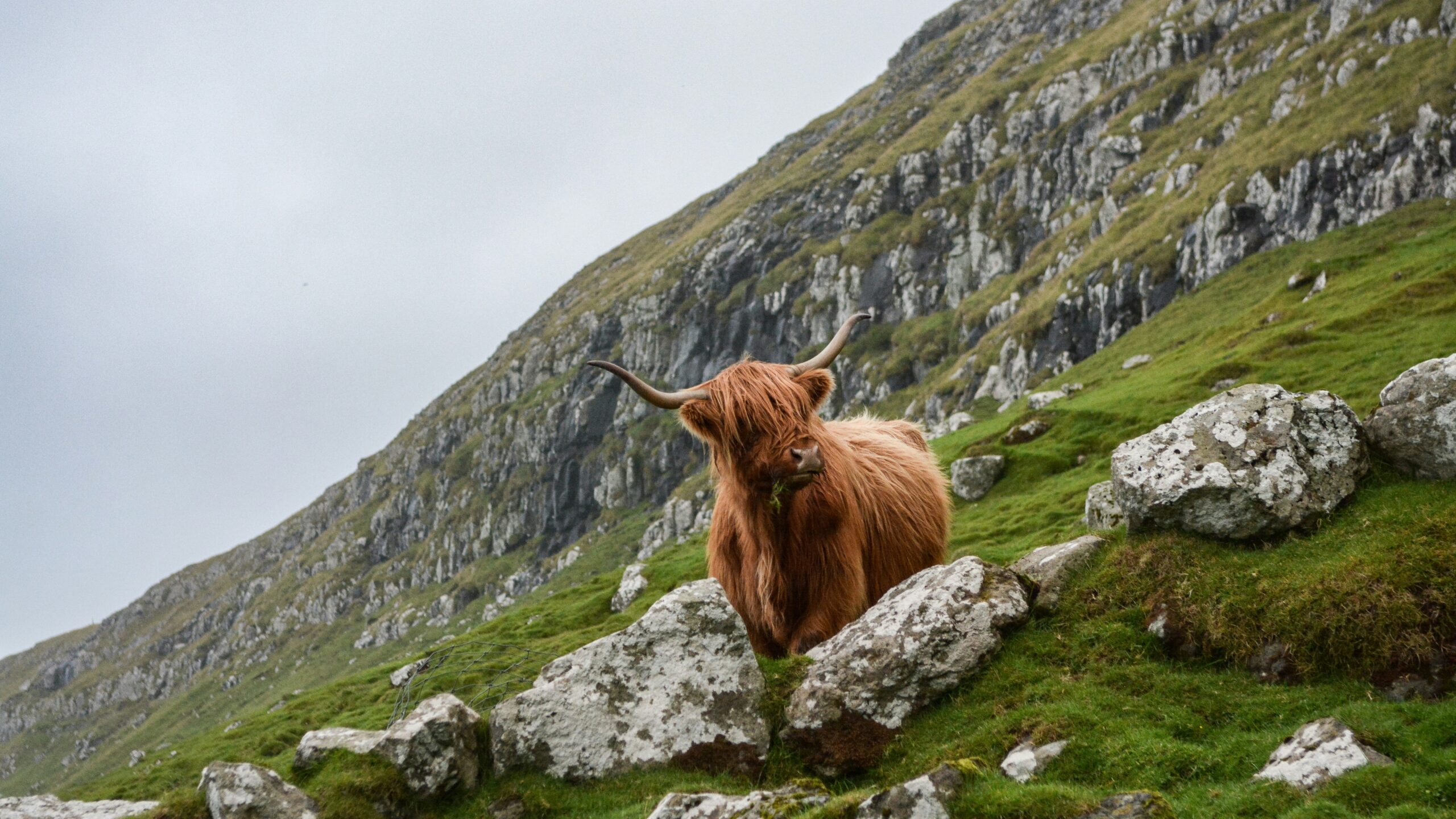 Outdoor Attractions in Scotland: 8 Amazing Nature Escapes